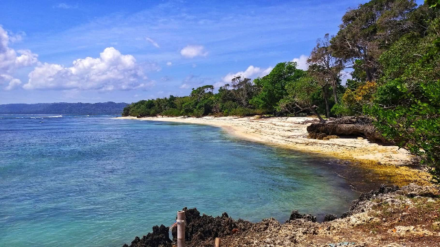 Perguruan Tinggi Telkom: Kiprah Universitas Teknologi dan Bisnis Unggulan di Bandung